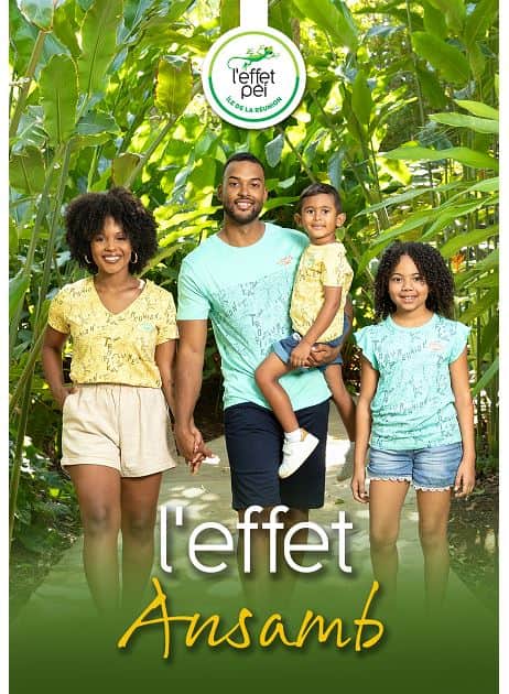 L'EFFET ANSAMB
