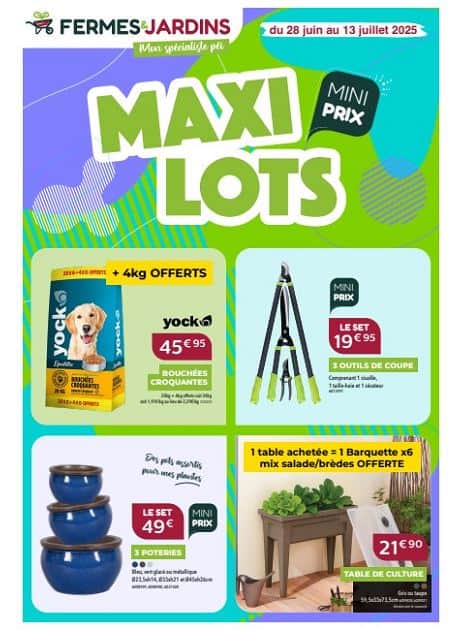 MAXI LOTS
