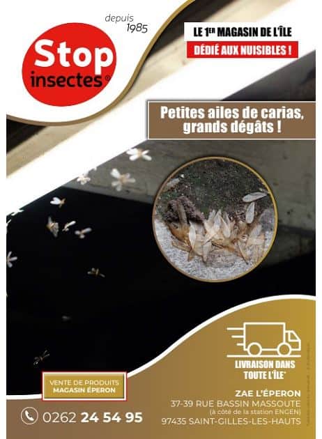 PETITES AILES DE CARIAS, GRANDS DÉGÂTS !