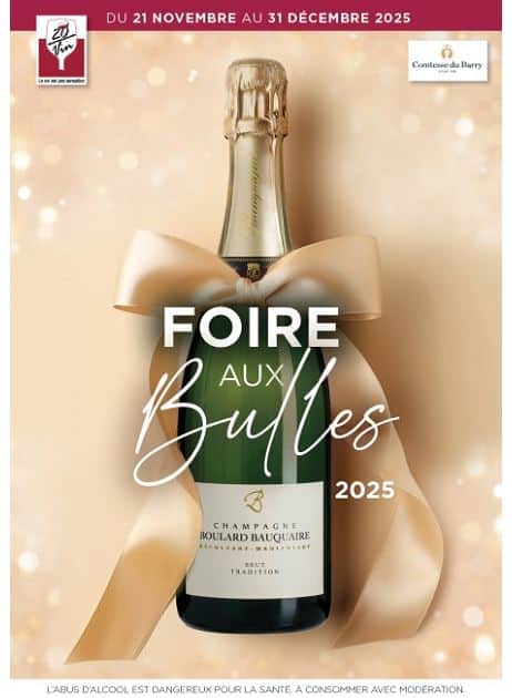 FOIRE AUX BULLES