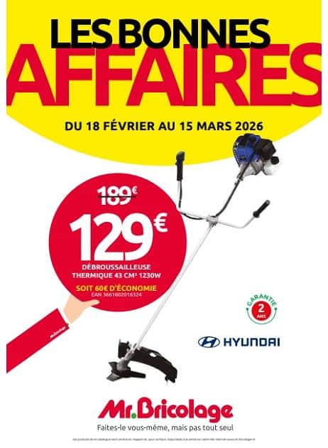 LES BONNES AFFAIRES