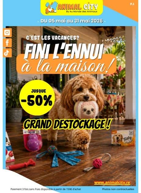 FINI L'ENNUI À LA MAISON!