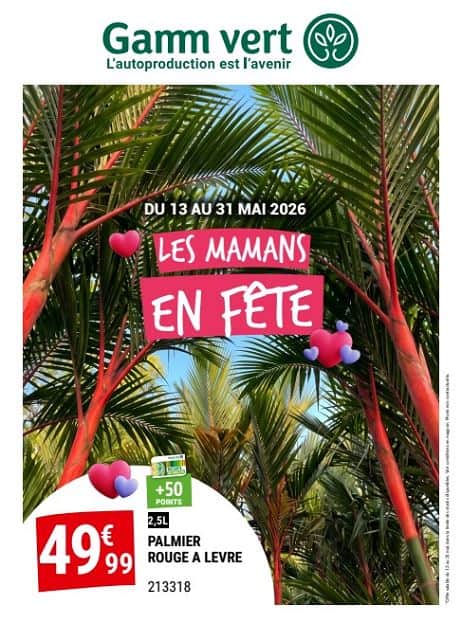 LES MAMANS EN FÊTE