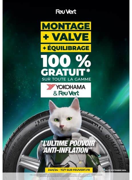 L'ULTIME POUVOIR ANTI-INFLATION