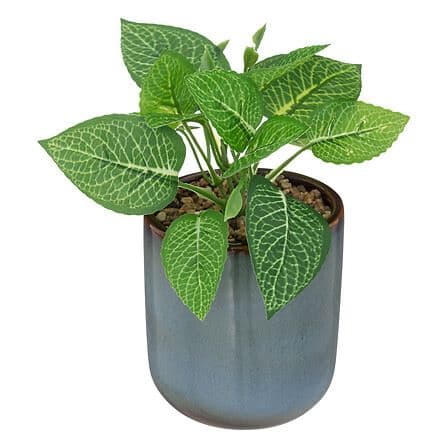 PLANTE REAC AZUR - ARTIFICIELLE - Image 2