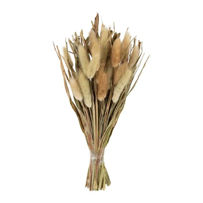 BOUQUET HERBES SÉCHÉES – COLORIS NATUREL - Image 2