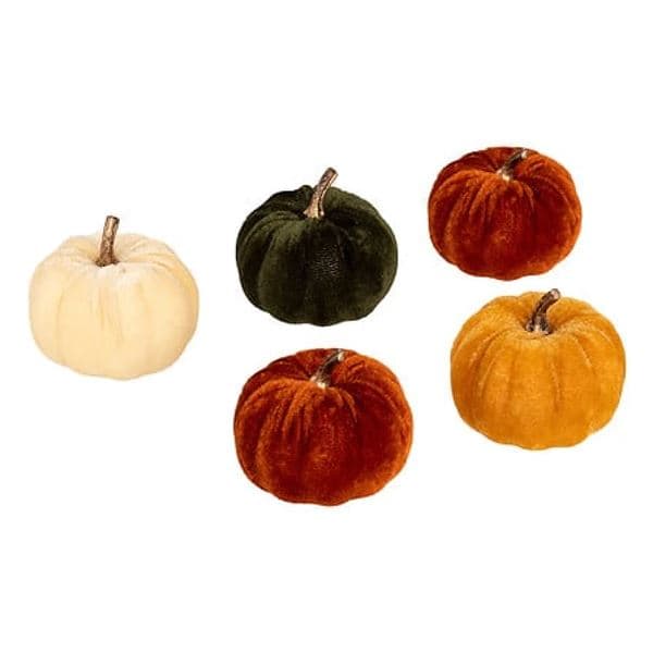 LOT DE 5 CITROUILLES - VELOURS - Image 2