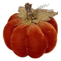CITROUILLE - VELOURS - Image 2