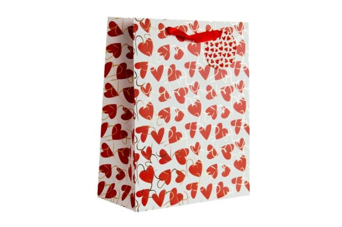 SAC CADEAU - M - Image 2