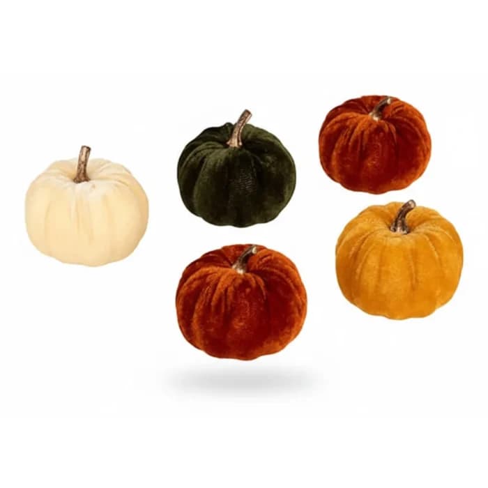 LOT DE 5 CITROUILLES - VELOURS - Image 1