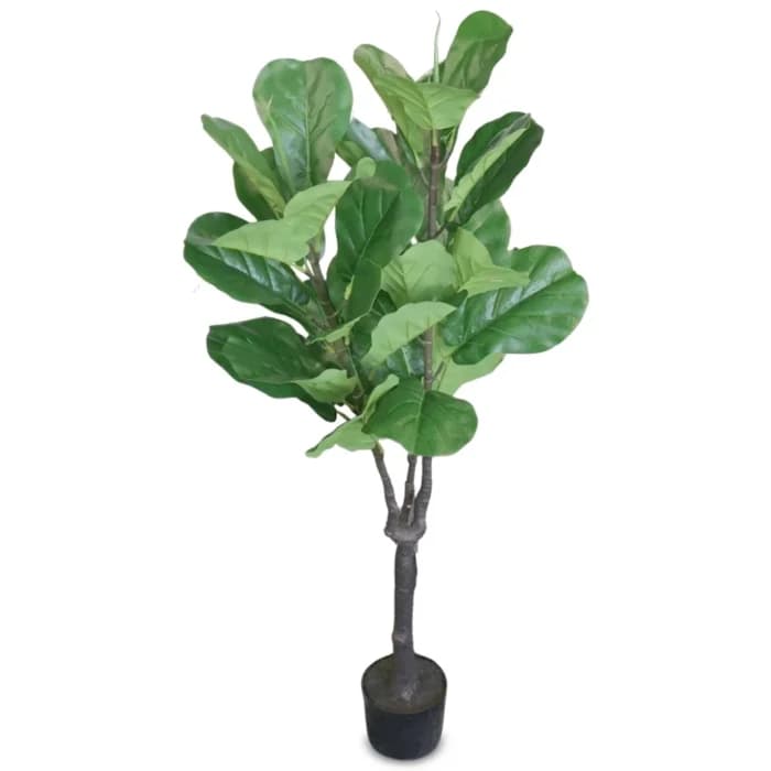 FICUS LYRATA ARTIFICIEL H137CM - VERT - Image 1