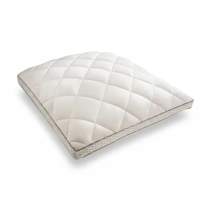 OR GRAND CONFORT 65 X 65 X 12 OREILLER - Image 1