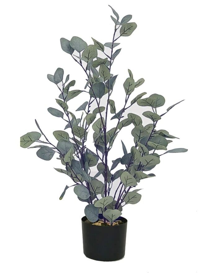 EUCALYPTUS POT CYLINDRIQUE 76 CM - Image 2