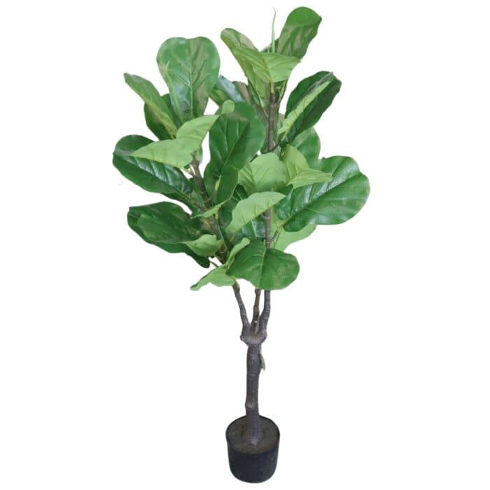 FICUS LYRATA ARTIFICIEL H137CM - VERT - Image 2