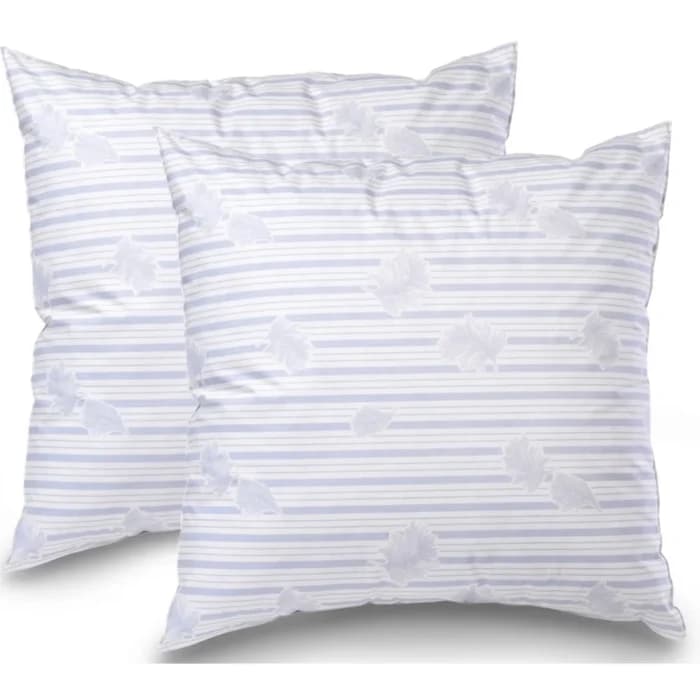 LOT DE 2 OREILLER 60 X 60 CM EN PLUME - Image 1