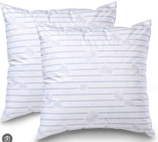 LOT DE 2 OREILLER 60 X 60 CM EN PLUME - Image 2