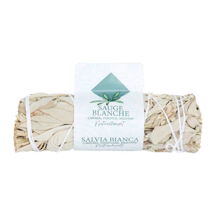 SAUGE BLANCHE À L'UNITÉ - Image 2