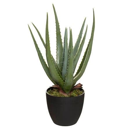 PLANTE ARTIFICIELLE ALOÉ VERA - Image 2