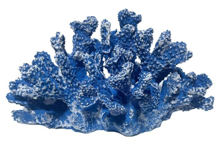 OBJET DÉCORATIF CORAIL - BLEU FONCÉ - Image 2