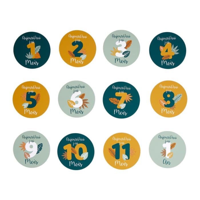 CARTES ÉTAPES DU MOIS BÉBÉ EN CARTON - Image 2