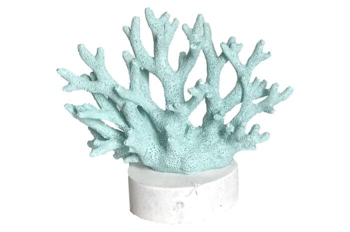 OBJET DÉCORATIF CORAIL À POSER - Image 2