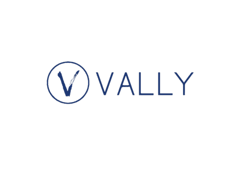 Logo VALLY