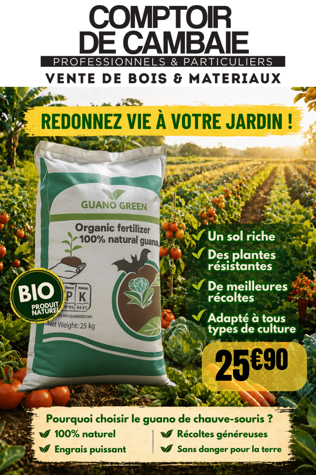 COUP DE COEUR