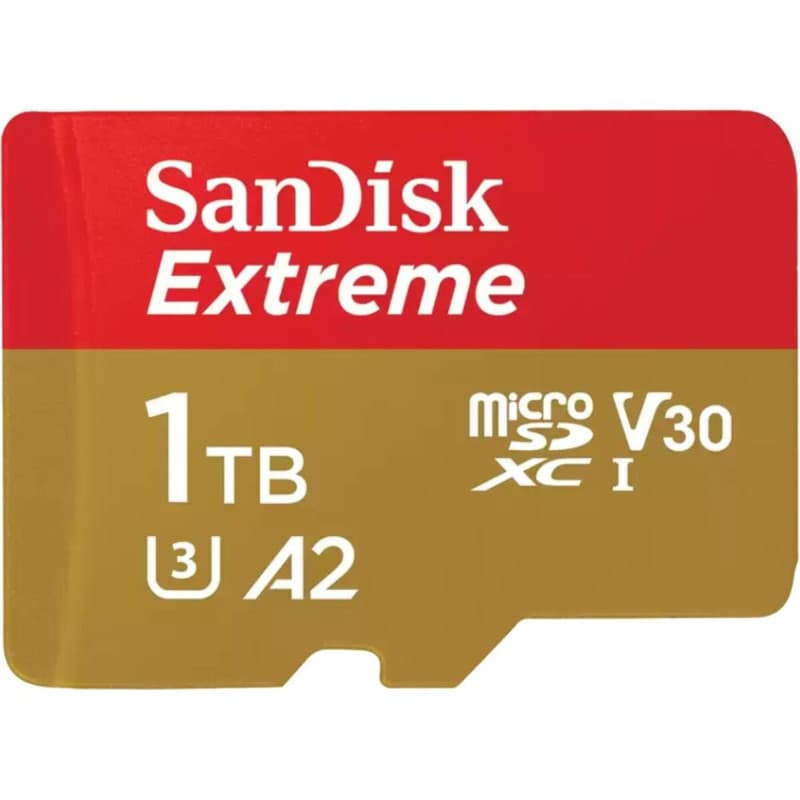 Carte Micro SD SanDisk SDSQXAV-1T00-GN6MA 1 TB - Image 1