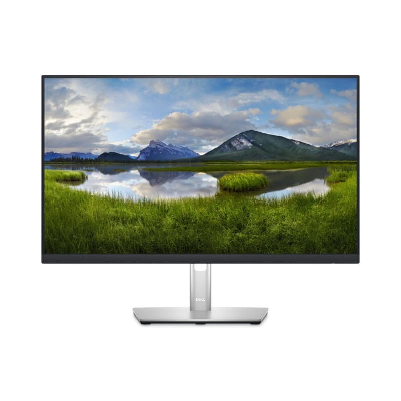Dell P Series Écran hub 24 USB-C - P2423DE - Image 1