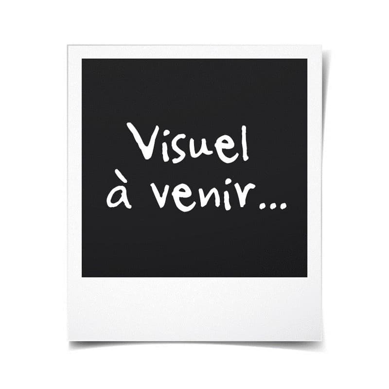 SES Creative Moulage et peinture - Dinosaures - Image 1