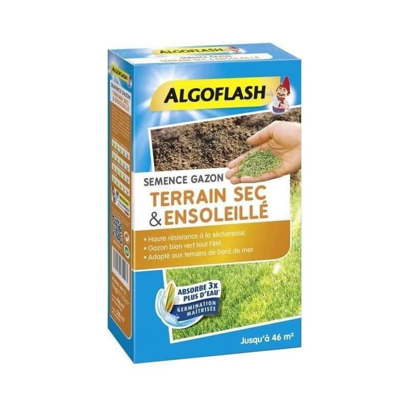Graines Algoflash SEMSOL1 - Image 1