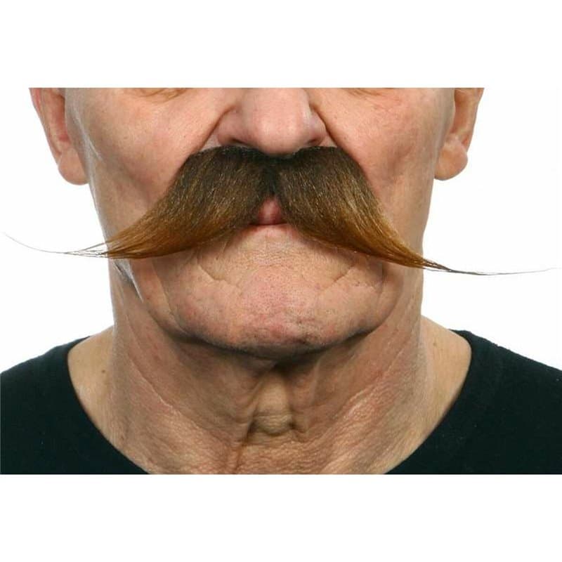 Moustache My Other Me Accessoire de costumes - Image 1