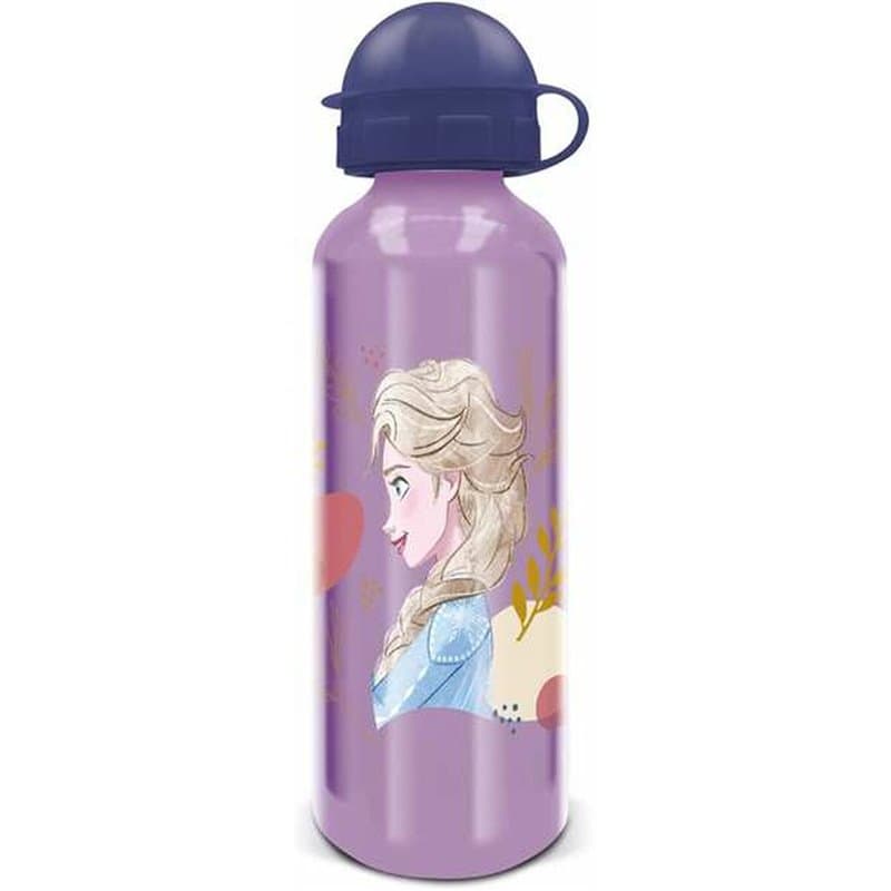 Bouteille Frozen Trust The Journey 530 ml Aluminium - Image 1