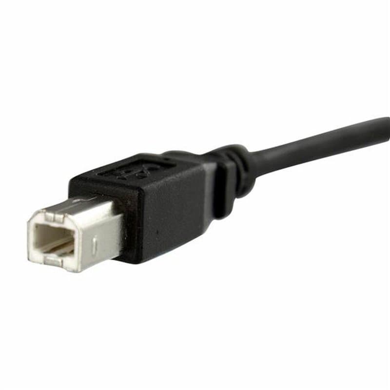 Startech.com Câble USB 30 cm monté sur panneau B vers B - F/M - Image 1