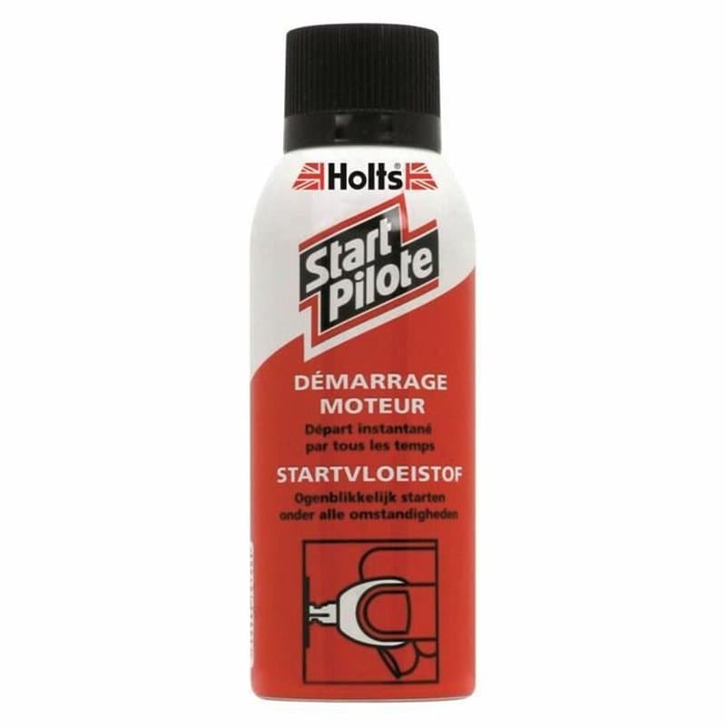 Traitement Holts HL 1831609 150 ml - Image 1
