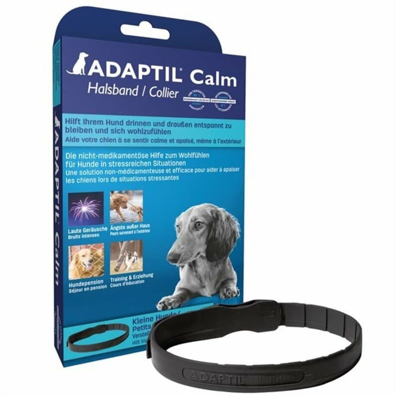 Collier S Chien (45 cm) - Image 1