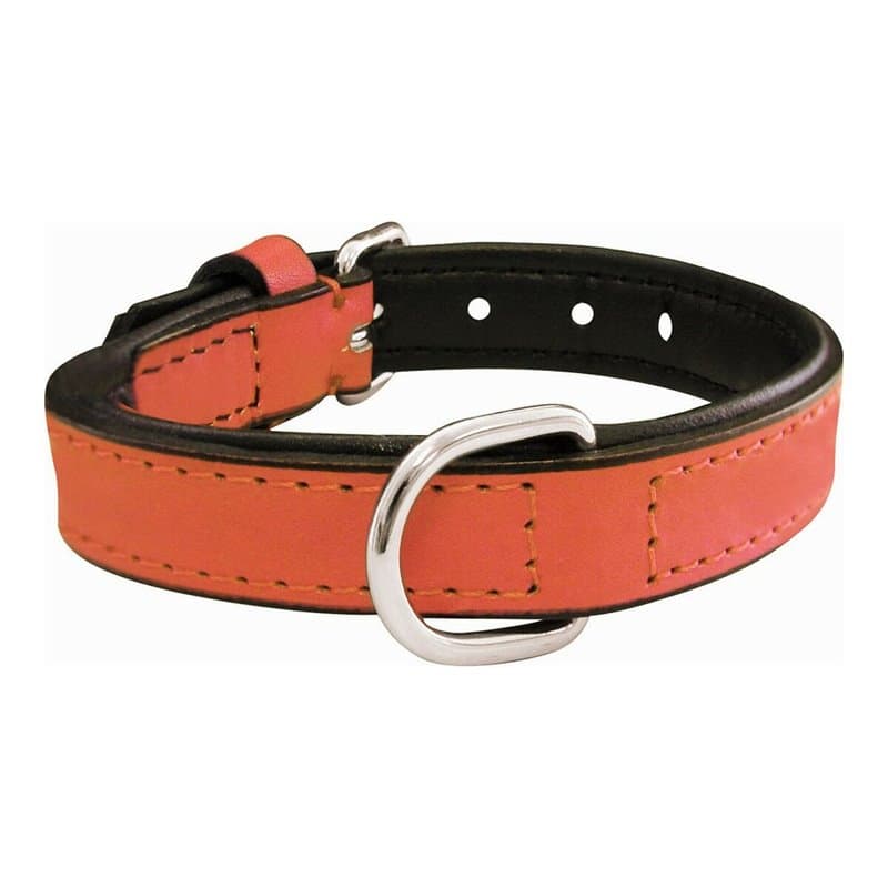 Collier pour Chien Gloria Rembourré Corail (30 x 1,5 cm) - Image 1