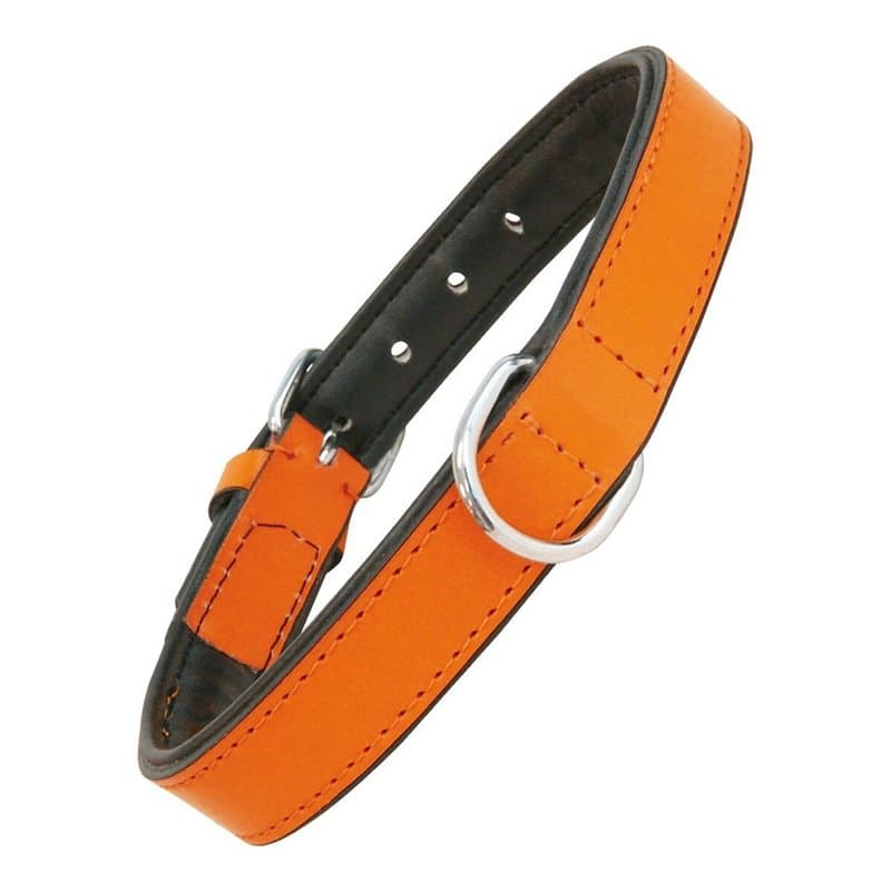 Collier pour Chien Gloria Rembourré Orange (40 x 2 cm) - Image 1