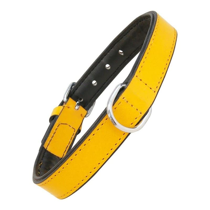 Collier pour Chien Gloria Rembourré Jaune (45 x 2 cm) - Image 1
