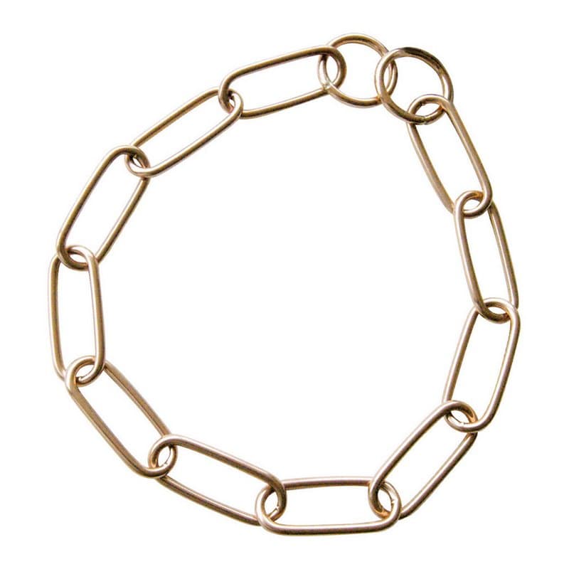 Collier pour Chien Hs Sprenger Long (59 cm) - Image 1