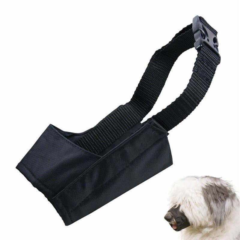 Muselière Gloria Noir Nylon (10 cm) - Image 1