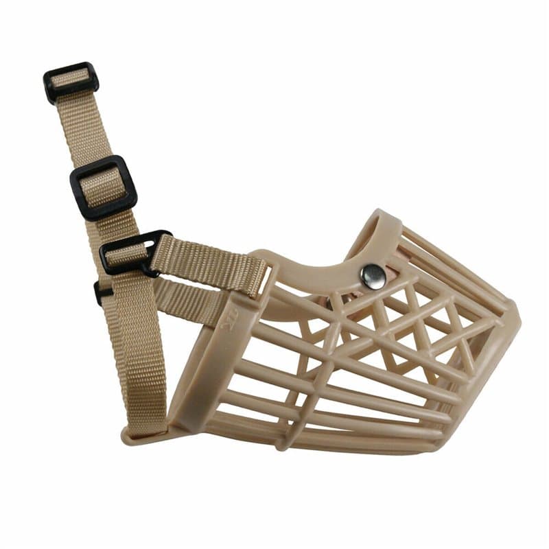 Muselière Gloria Beige 4 - Image 1