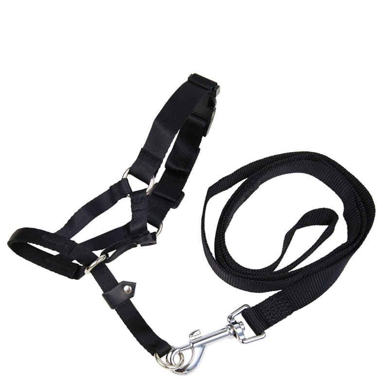 Muselière Gloria Noir 2 - Image 1