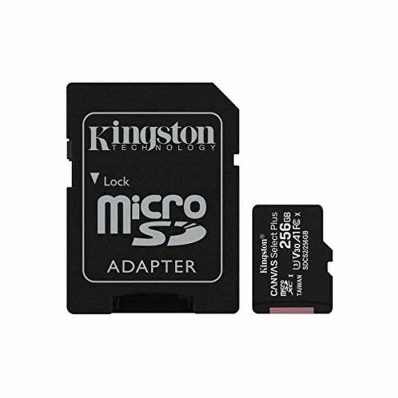 Kingston Technology Carte micSDXC Canvas Select Plus 100R A1 C10 de 256 Go + ADP - Image 1