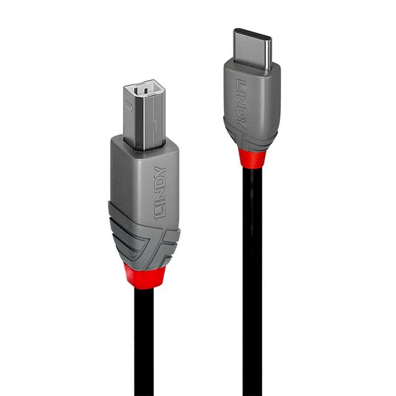 Lindy 36942 câble USB 2 m USB 2.0 USB C USB B Noir - Image 1