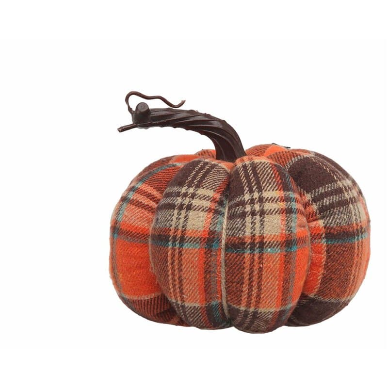 Citrouille Multicouleur - Image 1