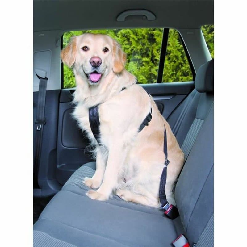 Harnais pour Chien Trixie Noir - Image 1