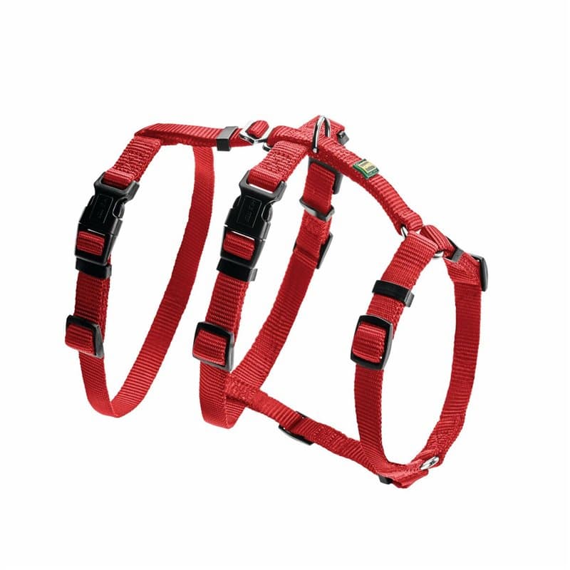 Harnais pour Chien Hunter 48-70 cm Rouge S/M 36-51 cm - Image 1