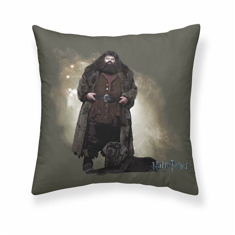 Housse de coussin Harry Potter Hagrid Multicouleur 50 x 50 cm - Image 1