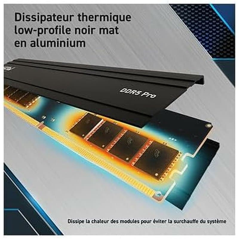 Mémoire RAM Crucial CP24G56C46U5 - Image 1